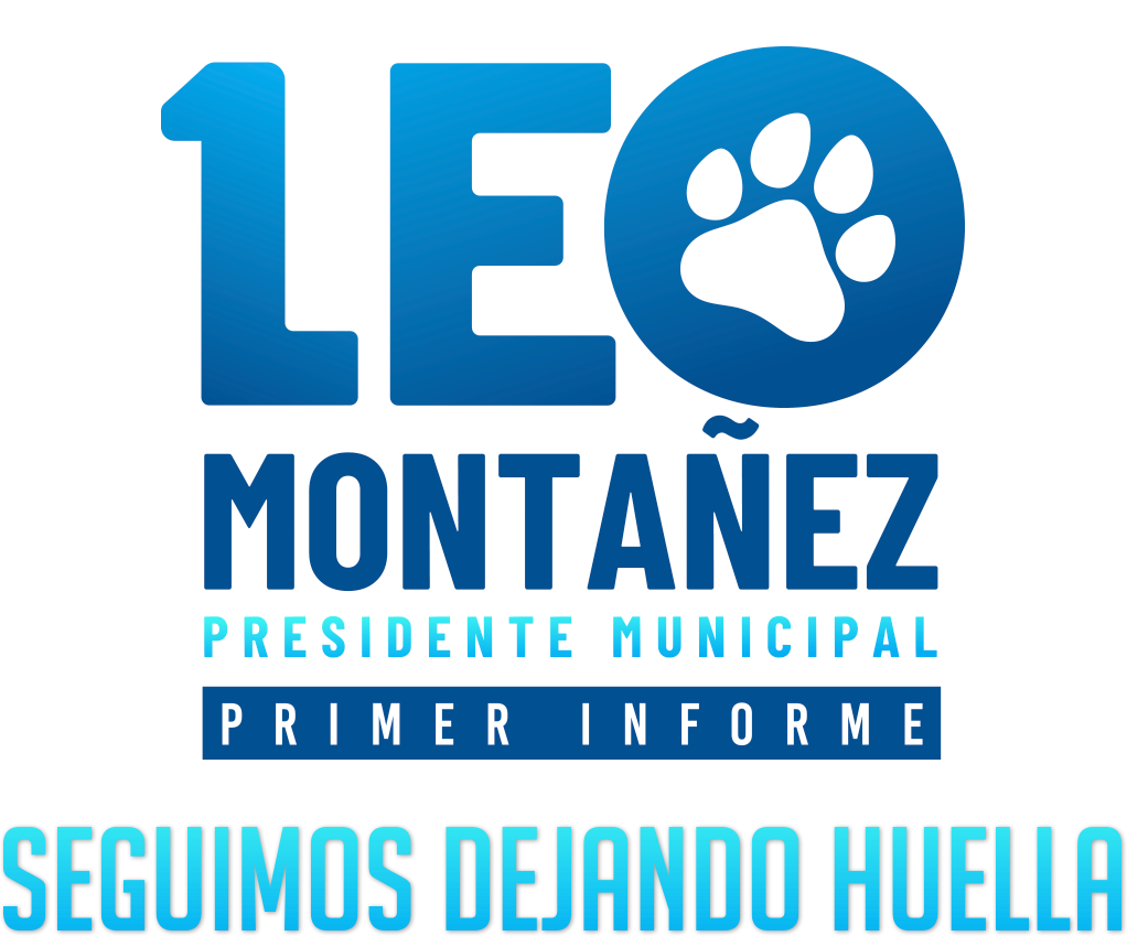 1er Informe
